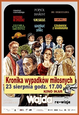 Kronika wypadków miłosnych